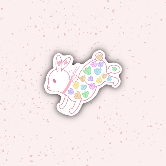 Speedy Bunny on the Move 𓃹